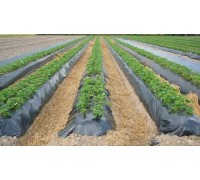 Черная пленка для мульчирования холст 0.8 м х 500м (50 мкм)